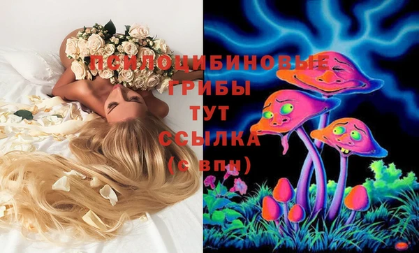 амф Алексеевка