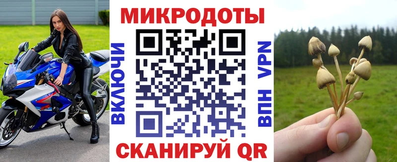 нарко площадка формула  Суджа  Псилоцибиновые грибы MAGIC MUSHROOMS  цены  